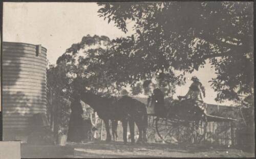 A horse and cart beside a water tank, Brisbane, approximately 1916 / Carl Schiesser