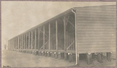 View along the side of a building at the internment camp at Holsworthy, New South Wales, 1918 or 1919