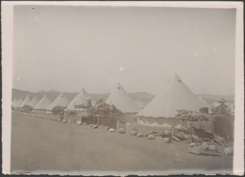 Scene at the refugee camp at Norvalspont, South Africa, 1901 / Samuel White