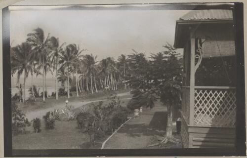 View of house and palm trees, New Guinea, 1914