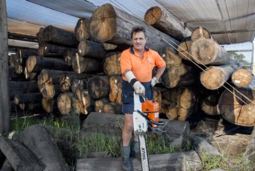 Log yard manager holding a chain saw and standing in front of a pile of graded and tagged logs at Blue Ridge Hardwoods saw mill, Eden, New South Wales, 2010 / Ruth Maddison