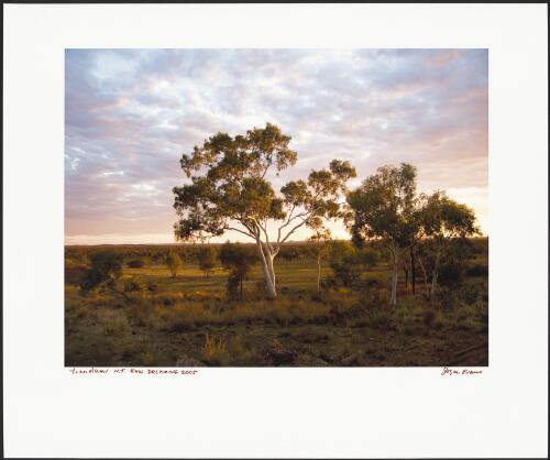 Emu Dreaming, Yuendumu, Northern Territory, 2005 / Joyce Evans