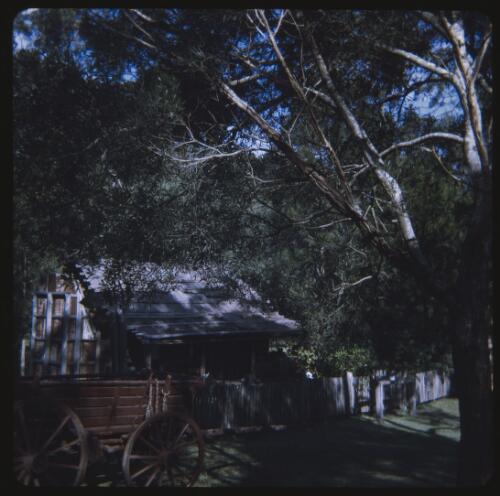 Timber cottage and cart, Advancetown, Queensland, 1970