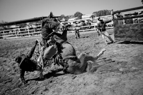 Rider and horse falling, Doomadgee, Queensland, approximately 2011 / Hamish Cairns
