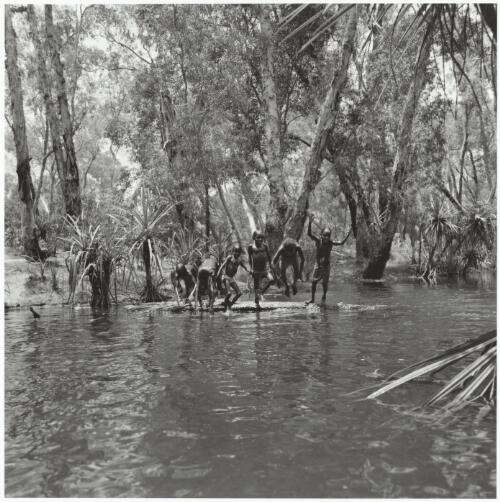 Aboriginal children playing in the river, Mumeka, Arnhem Land, Northern Territory, 1975 / Mervyn Bishop