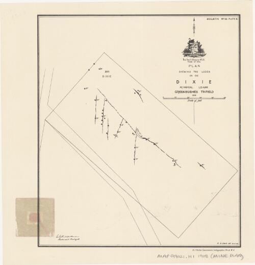 Plan shewing the lodes on the Dixie mineral lease, Greenbushes Tinfield [cartographic material] / Geological Survey of Western Australia