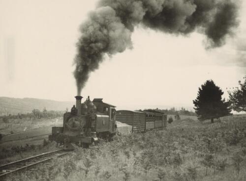 Victorian Railways, 2'6'' gauge NA-class 2-6-2T locomotive no. 15A working down Saturday mixed train up the last 1 in 30 grade from Cockatoo towards Gembrook, near the site of Fielder in 1934 [picture] / Victorian railways