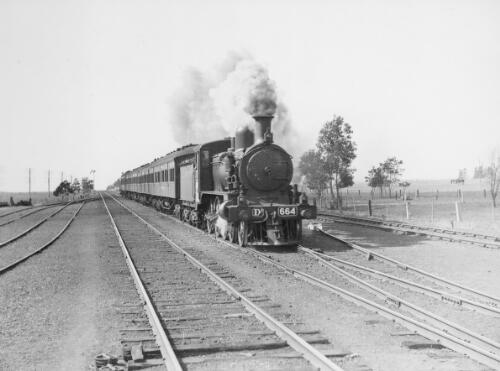 [[Locomotive] D3 664 at Gisborne [Victoria], on down Sunday excursion to Daylesford [Victoria], ca. 1934] [picture] / R. B. McMillan