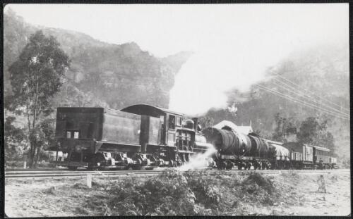 Mixed train hauled by Shay locomotive number 3 with the tender first, Newnes Station, New South Wales, ca. 1930 [picture]