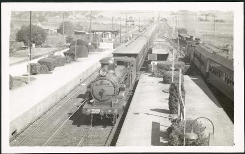 Locomotive 3359 working local passenger train to Sydney at Campbelltown with passenger train for Camden line on right. April 1939 [picture]