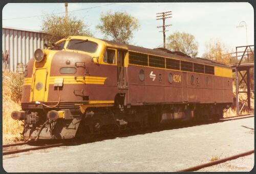 Locomotive 4204 at Albury, 20 February 1983 [picture]