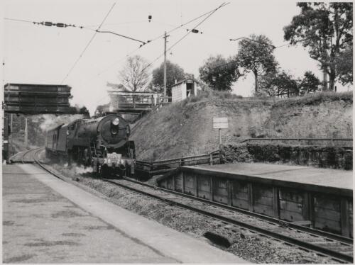 Northbound Newcastle Flyer, train number 21, with head board on locomotive 38-29, Normanhurst, New South Wales, 27 October 1954 [picture]