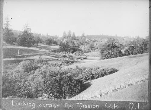Landscape scene, Norfolk Island, approximately 1910