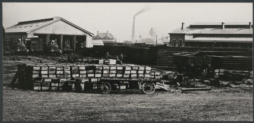 Old Sydney yard with goods wagons and locomotives in shed [picture]