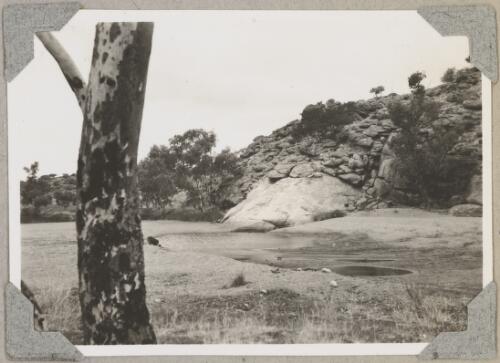 The original spring at Alice Springs, Northern Territory, ca. 1946 [picture]