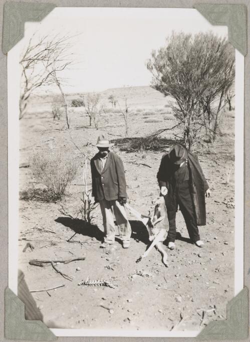 Abel, an Aboriginal community leader, and Pastor Simpfendorfer with a kangaroo, central Australia, ca. 1946 [picture]