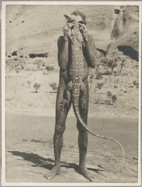 Tjalerina, a Pitjantjatjara man, holding a perentie (Varanus giganteus), central Australia, 1940 [picture] / Charles Mountford