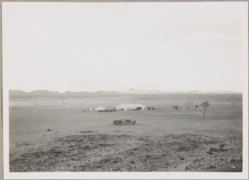 Buildings on an unidentified farm, Northern Territory, 1950? [picture]