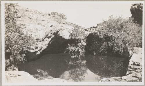 Ooraminna Waterhole, Northern Territory, 1950, 1 [picture]