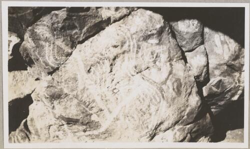 Rock art near Ooraminna Waterhole [?], Northern Territory, 1950 [picture]