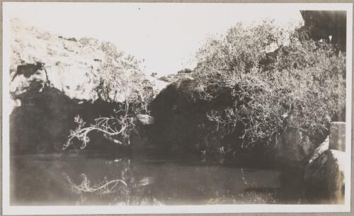 Ooraminna Waterhole, Northern Territory, 1950, 2 [picture]