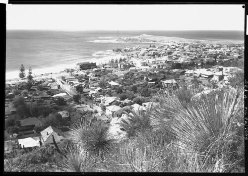 Collaroy from Collaroy Plateau [Sydney] [picture] / [Frank Hurley]