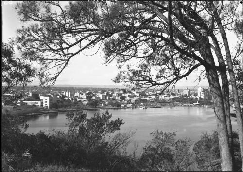 Perth from Kings Park with tree filling sky [Western Australia, 1] [picture] / [Frank Hurley]