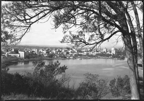 Perth from Kings Park with tree filling sky [Western Australia, 2] [picture] / [Frank Hurley]
