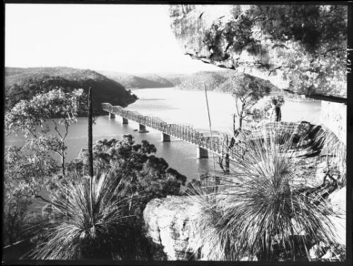 [View of Hawkesbury River and bridge with grass trees in foreground,New South Wales, 1] [picture] / [Frank Hurley]