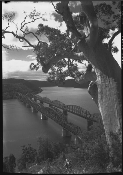 New and old bridges across the Hawkesbury River [New South Wales, 1] [picture] / [Frank Hurley]