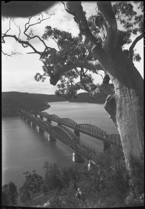 New and old bridges across the Hawkesbury River [New South Wales, 2] [picture] / [Frank Hurley]