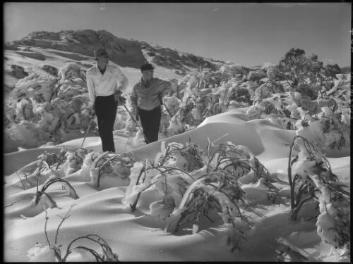 Lambell and son among snow covered trees, Kosciusko [New South Wales] [picture] / [Frank Hurley]