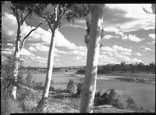 Ord River, Kimberleys [Western Australia, 1] [picture] / [Frank Hurley]