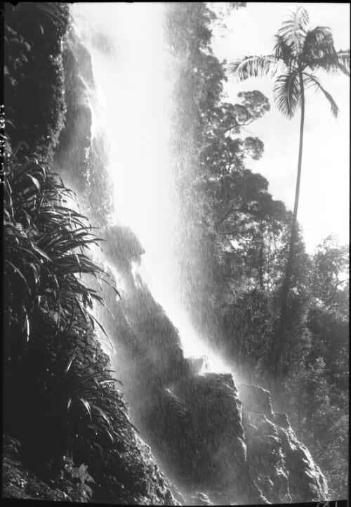 Waterfall, Coomera Valley, Mount Lamington, Queensland [picture] / [Frank Hurley]