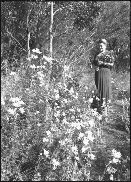 [Unidentified woman standing next to a bush of flannel flowers holding a bouquet of flowers, Queensland?] [picture] / [Frank Hurley]