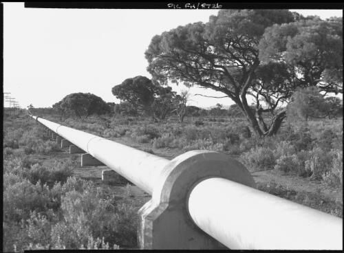 [Pipeline, Queensland] [picture] / [Frank Hurley]