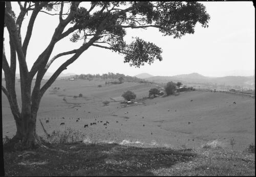 Darling Downs, Queensland [picture] / [Frank Hurley]