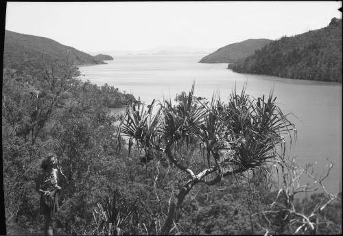 Nara Inlet, Hook Island, Whitsunday Island group, Great Barrier Reef [picture] / [Frank Hurley]