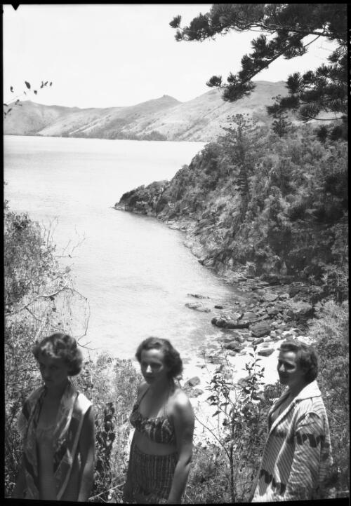 Coastal glimpse of Daydream Island, Great Barrier Reef, North Queensland [picture] / [Frank Hurley]