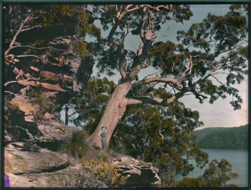 [Man looking from a cliff, Queensland] [picture] / [Frank Hurley]