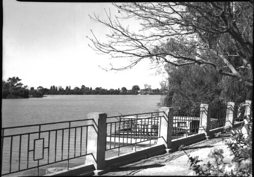 River front, Renmark [South Australia] [picture] / [Frank Hurley]