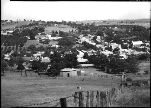 Panorama of Angaston [South Australia, 1] [picture] / [Frank Hurley]
