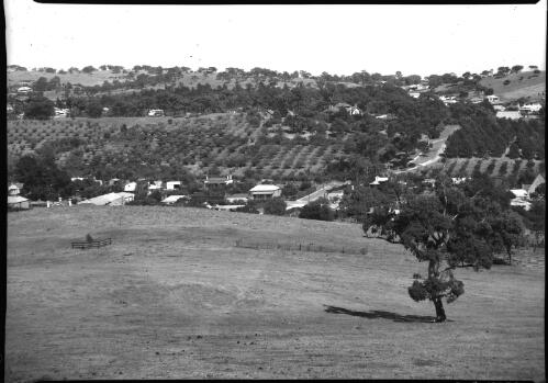 Panorama of Angaston [South Australia, 2] [picture] / [Frank Hurley]