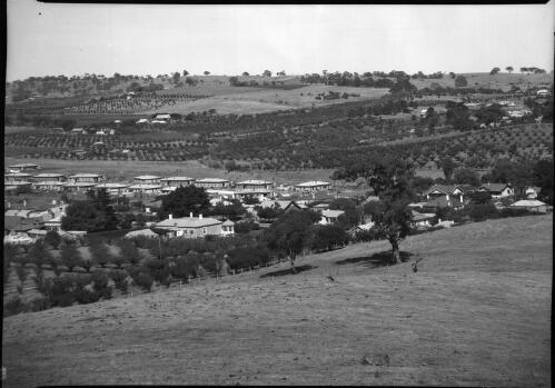Panorama of Angaston [South Australia, 3] [picture] / [Frank Hurley]