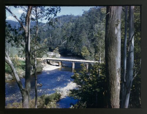 Mersey River, North West Tasmania [picture] / [Frank Hurley]