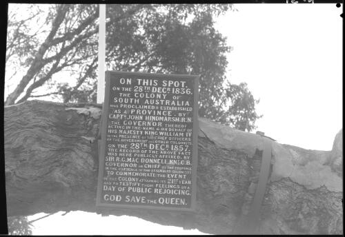 [Plaque on the Proclamation tree, Adelaide, South Australia] [picture] / [Frank Hurley]