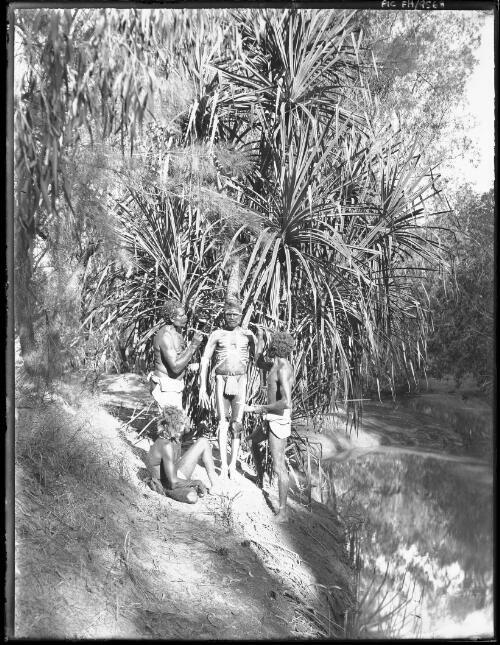 [Indigenous man having ceremonial decorations painted on body by others on river bank, 1] [picture] / [Frank Hurley]