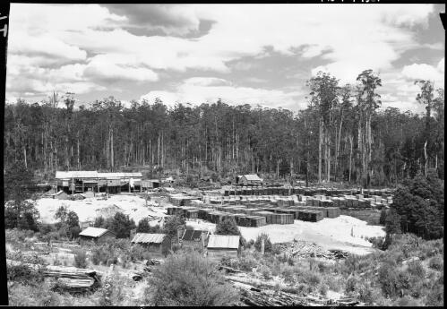 Mill, Diddluin Plains [Tasmania, 1] [picture] / [Frank Hurley]