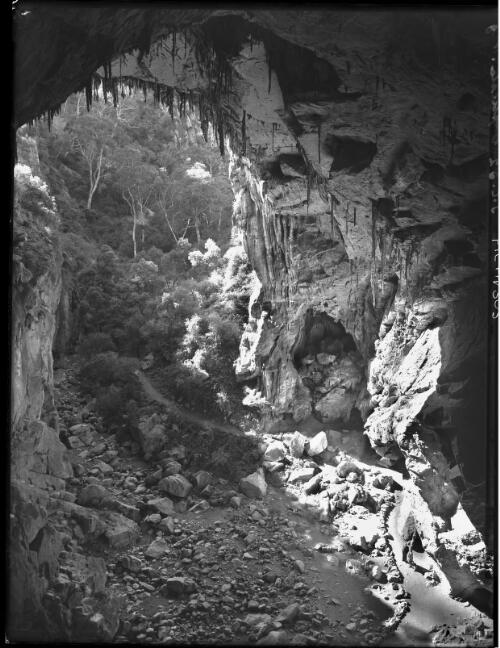 The Devil's Coachhouse [inside the Devils Coachhouse looking north, photographed from the Nettle Cave] [picture] : [Jenolan Caves, New South Wales] / [Frank Hurley]