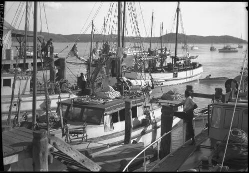 [Four boats at a wharf, other boats beyond, Thursday Island, with Prince of Wales Island in the background] [picture] : [Pearling] / [Frank Hurley]